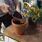 citygardening Kéziszerszám készlet dobozban