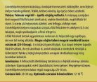 Fűszernev. készlet Metélőpetrezselyem/Doboz
