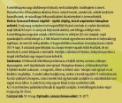 Fűszernev.készlet Metélőhagyma /Doboz