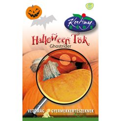 Gyerekk. Halloween tök