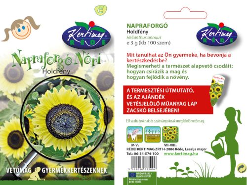 Napraforgó Nóri